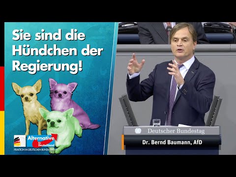 Sie sind die Hündchen der Regierung! - Bernd Baumann - AfD-Fraktion im Bundestag