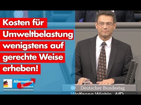 Kosten für Umweltbelastung wenigstens auf gerechte Weise erheben! - Wolfgang Wiehle - AfD-Fraktion