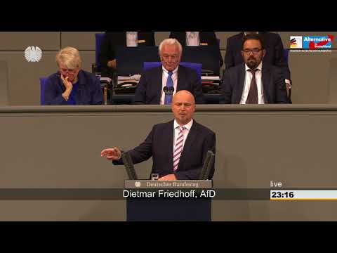 Sie höhlen unsere Sozialsysteme aus! - Dietmar Friedhoff - AfD-Fraktion im Bundestag