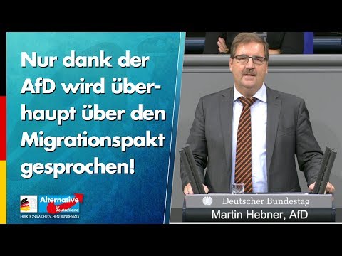 Nur dank der AfD wird überhaupt über den Migrationspakt gesprochen! - Martin Hebner - AfD-Fraktion