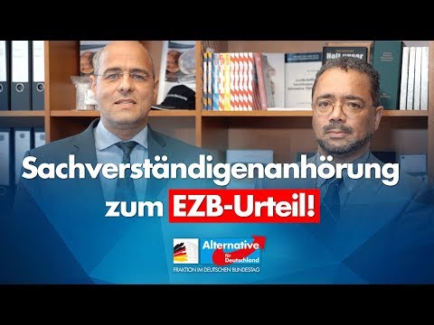 EZB-Urteil in der Sachverständigenanhörung! - Peter Boehringer &amp; Prof. Dr. Harald Weyel