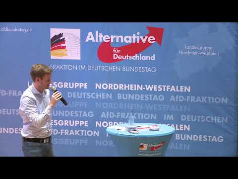 Enquete-Kommission für direkte Demokratie - Dr. Michael Espendiller - AfD-Fraktion im Bundestag
