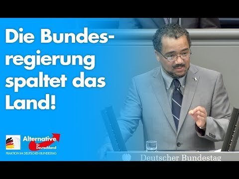 Die Bundesregierung spaltet das Land! - Prof. Harald Weyel - AfD-Fraktion im Bundestag