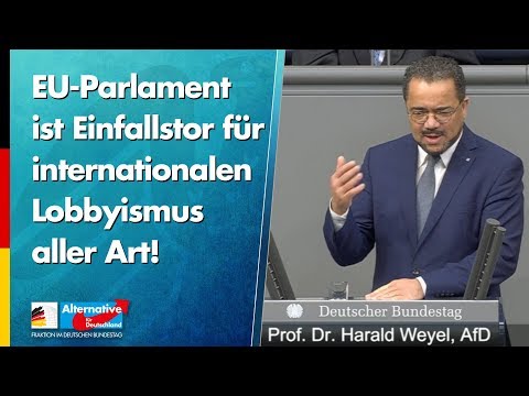 EU-Parlament ist Einfallstor für internationalen Lobbyismus aller Art! - Harald Weyel - AfD-Fraktion