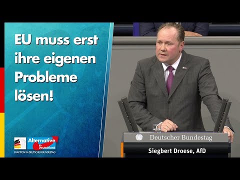 &quot;EU muss erst ihre eigenen Probleme lösen!&quot; - Siegbert Droese - AfD-Fraktion im Bundestag