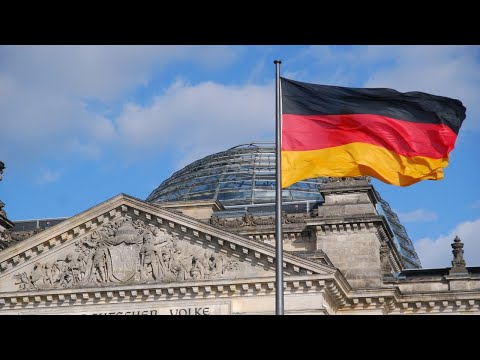 113. Sitzung des Bundestages - AfD-Fraktion im Bundestag