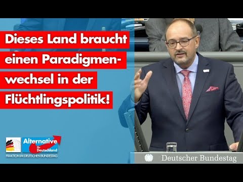 Dieses Land braucht einen Paradigmenwechsel in der Flüchtlingspolitik! - Uwe Witt - AfD-Fraktion