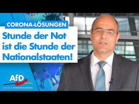 Stunde der Not ist die Stunde der Nationalstaaten! - Peter Boehringer - AfD-Fraktion im Bundestag