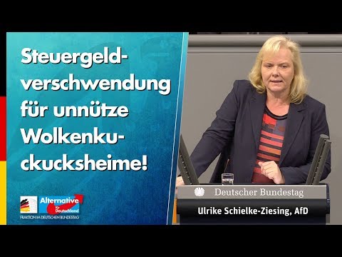 Steuergeldverschwendung für unnütze Wolkenkuckucksheime! - Ulrike Schielke-Ziesing - AfD