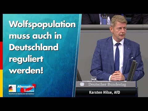 Wolfspopulation muss auch in Deutschland reguliert werden! - Karsten Hilse - AfD-Fraktion