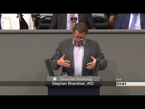 Die Grünen sind die Partei der Angst! - Stephan Brandner - AfD-Fraktion im Bundestag