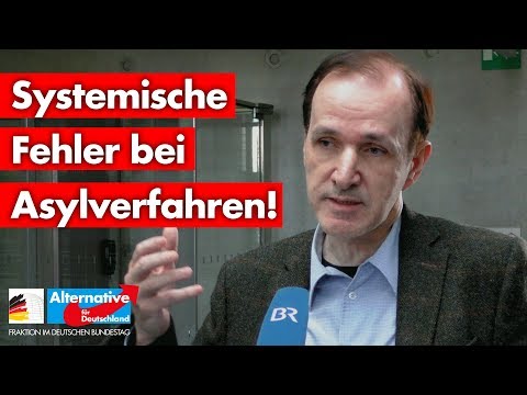 Gottfried Curio zu „systemischen Fehlern“ bei Asylverfahren!