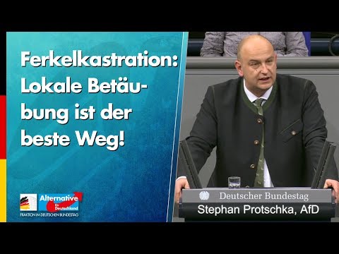 Ferkelkastration: Lokale Betäubung ist der beste Weg! - Stephan Protschka - AfD-Fraktion