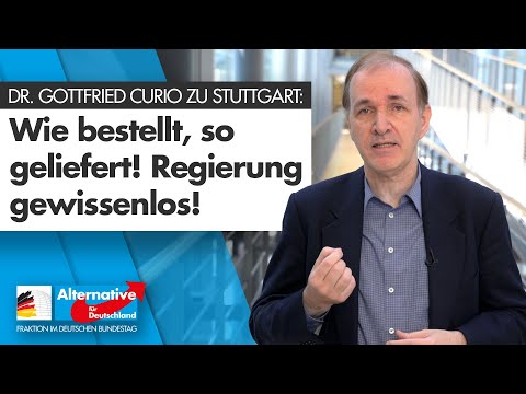 Dr. Gottfried Curio zu Stuttgart: &quot;Regierung gewissenlos!&quot; - AfD-Fraktion im Bundestag