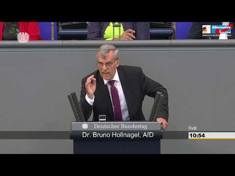 Banken zu retten, ist nicht Aufgabe des Staates! - Dr. Bruno Hollnagel - AfD-Fraktion im Bundestag