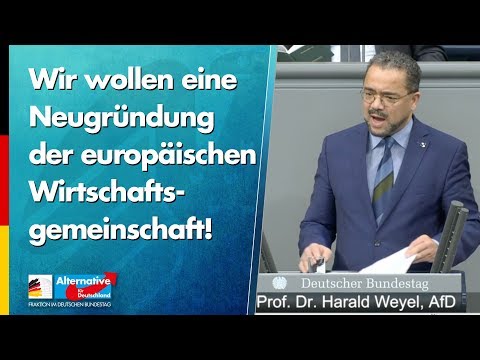 Wir wollen eine Neugründung der europäischen Wirtschaftsgemeinschaft! - Harald Weyel - AfD
