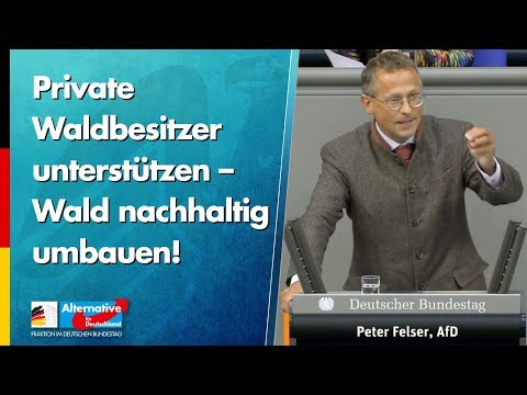 Private Waldbesitzer unterstützen – Wald nachhaltig umbauen! - Peter Felser - AfD-Fraktion