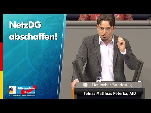 NetzDG abschaffen! - Tobias Matthias Peterka