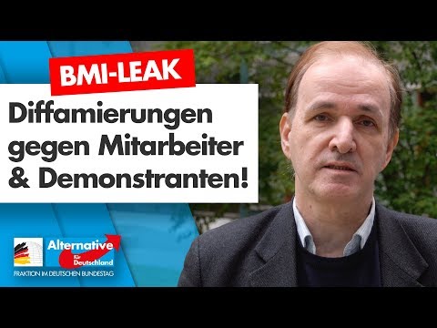 BMI-Leak: Diffamierung von Mitarbeitern und Demonstranten! - Dr. Gottfried Curio - AfD-Fraktion