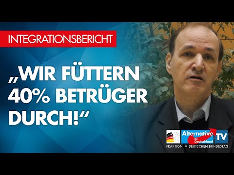 Curio: Wir füttern 40 % Betrüger durch! - AfD-Fraktion im Bundestag
