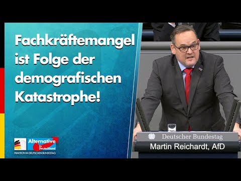 Fachkräftemangel ist Folge der demografischen Katastrophe! - Martin Reichardt - AfD-Fraktion