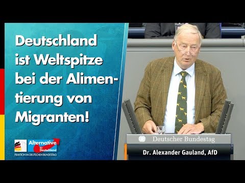 Deutschland ist Weltspitze bei der Alimentierung von Migranten! - Alexander Gauland - AfD-Fraktion