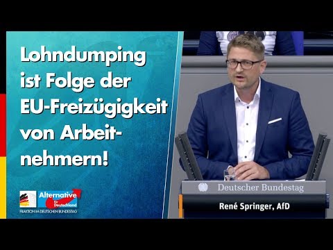 Lohndumping ist Folge der EU-Freizügigkeit von Arbeitnehmern! - René Springer - AfD-Fraktion