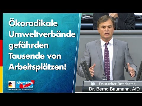Ökoradikale Umweltverbände gefährden Tausende von Arbeitsplätzen! - Bernd Baumann - AfD
