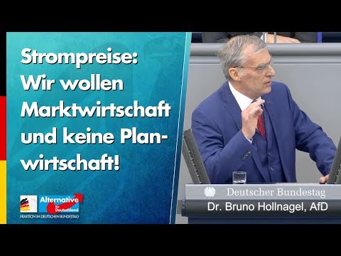 Strompreise:Wir wollen Marktwirtschaft und keine Planwirtschaft! - Bruno Hollnagel - AfD-Fraktion