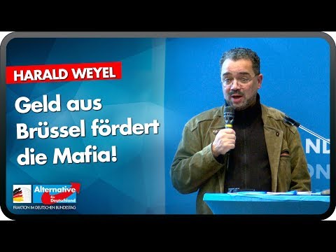 Geld aus Brüssel fördert die Mafia! - Harald Weyel - Bürgerdialog Leverkusen