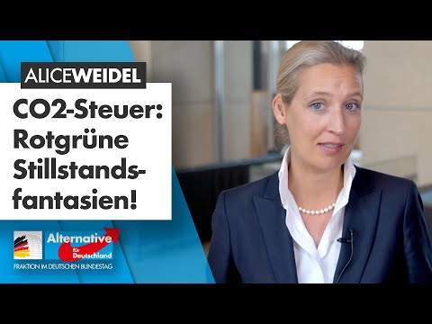 CO2-Steuer: Diesel würde um 30 Cent teurer! - Alice Weidel