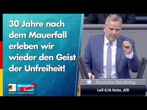 30 Jahre nach dem Mauerfall erleben wir wieder den Geist der Unfreiheit! - Leif-Erik Holm - AfD
