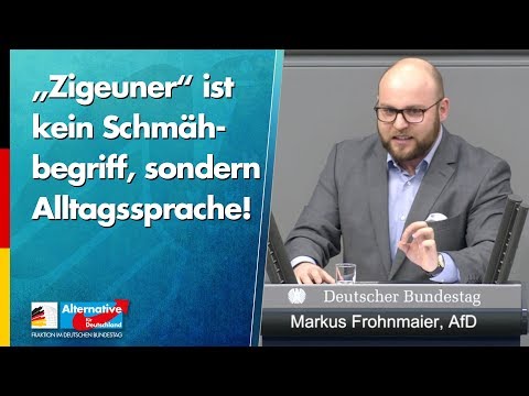 „Zigeuner“ ist kein Schmähbegriff, sondern Alltagssprache! - Markus Frohnmaier - AfD-Fraktion