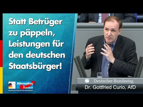 Statt Betrüger zu päppeln, Leistungen für den deutschen Staatsbürger! - Gottfried Curio