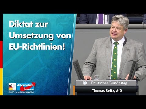 Diktat zur Umsetzung von EU-Richtlinien! - Thomas Seitz - AfD-Fraktion im Bundestag