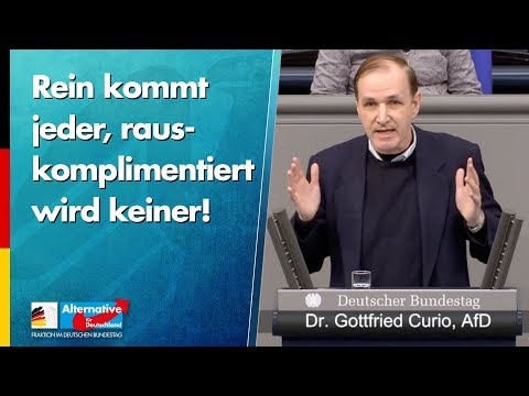 Rein kommt jeder, rauskomplimentiert wird keiner! - Gottfried Curio - AfD-Fraktion im Bundestag