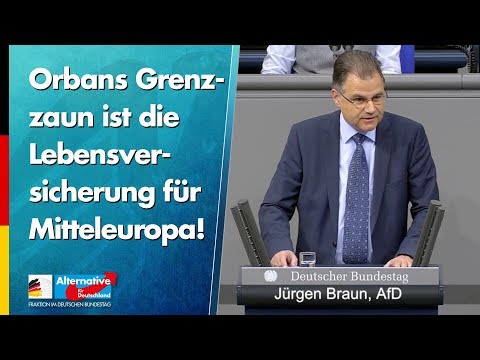 Orbans Grenzzaun ist die Lebensversicherung für Mitteleuropa! - Jürgen Braun - AfD-Fraktion