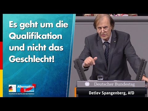 Es geht um die Qualifikation und nicht das Geschlecht! - Detlev Spangenberg - AfD-Fraktion