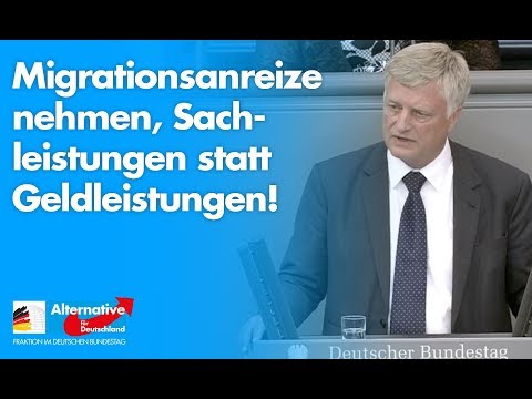 Migrationsanreize nehmen, Sachleistungen statt Geldleistungen! - Ulrich Oehme - AfD-Fraktion