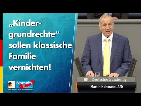 „Kindergrundrechte“ sollen klassische Familie vernichten! - Martin Hohmann - AfD-Fraktion