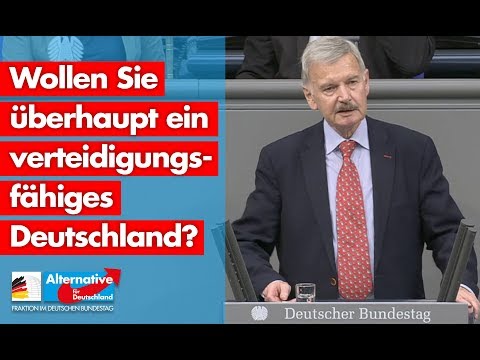 Wollen Sie überhaupt ein verteidigungsfähiges Deutschland? - Lothar Maier - AfD-Fraktion