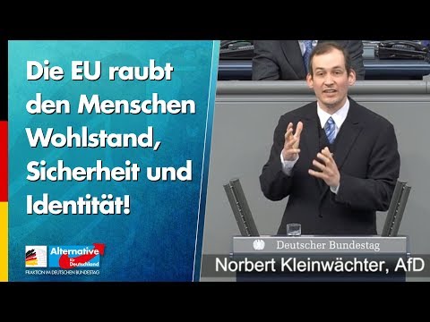 Die EU raubt den Menschen Wohlstand, Sicherheit und Identität! - Norbert Kleinwächter - AfD-Fraktion