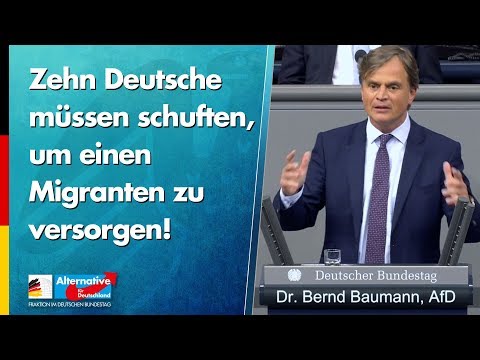 Zehn Deutsche müssen schuften, um einen Migranten zu versorgen! - Bernd Baumann - AfD-Fraktion