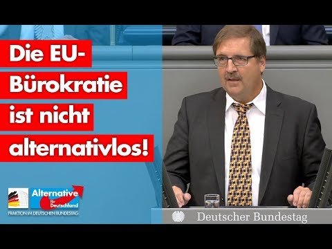 Martin Hebner: Die EU-Bürokratie ist nicht alternativlos! - AfD-Fraktion im Bundestag