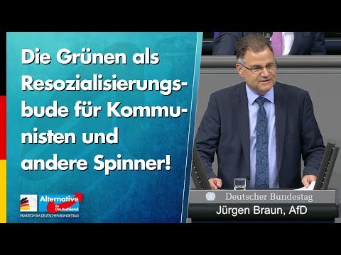 Die Grünen als Resozialisierungsbude für Kommunisten und andere Spinner! - Jürgen Braun - AfD
