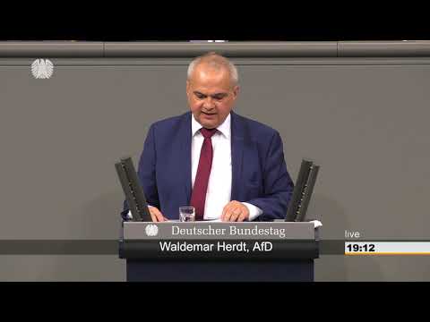 Entwicklungszusammenarbeit mit Kamerun sofort aussetzen! - Waldemar Herdt - AfD-Fraktion