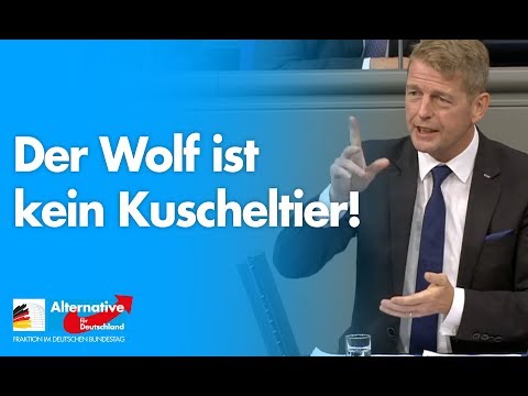 Rationales Wolfsmanagement: Der Wolf ist kein Kuscheltier! - Karsten Hilse - AfD-Fraktion