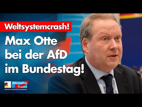 Max Otte bei der AfD im Bundestag zum &quot;Weltsystemcrash&quot; - mit Armin-Paul Hampel