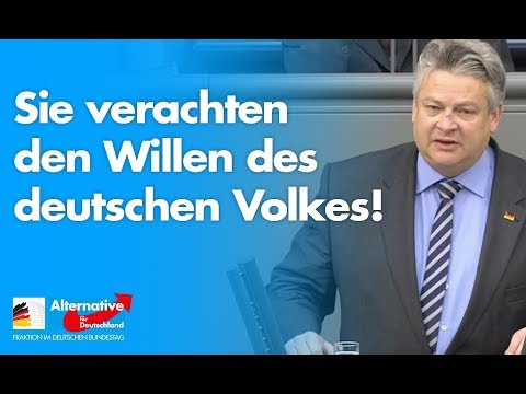 Sie verachten den Willen des deutschen Volkes! - Thomas Seitz - AfD-Fraktion im Bundestag