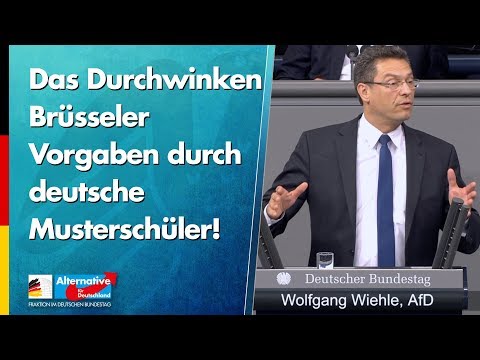 Das Durchwinken Brüsseler Vorgaben durch deutsche Musterschüler! - Wolfgang Wiehle - AfD-Fraktion